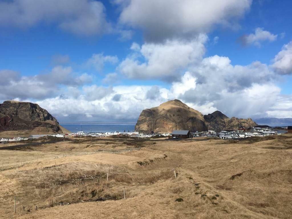 Ofanleiti Cottages Vestmannaeyjar Zewnętrze zdjęcie