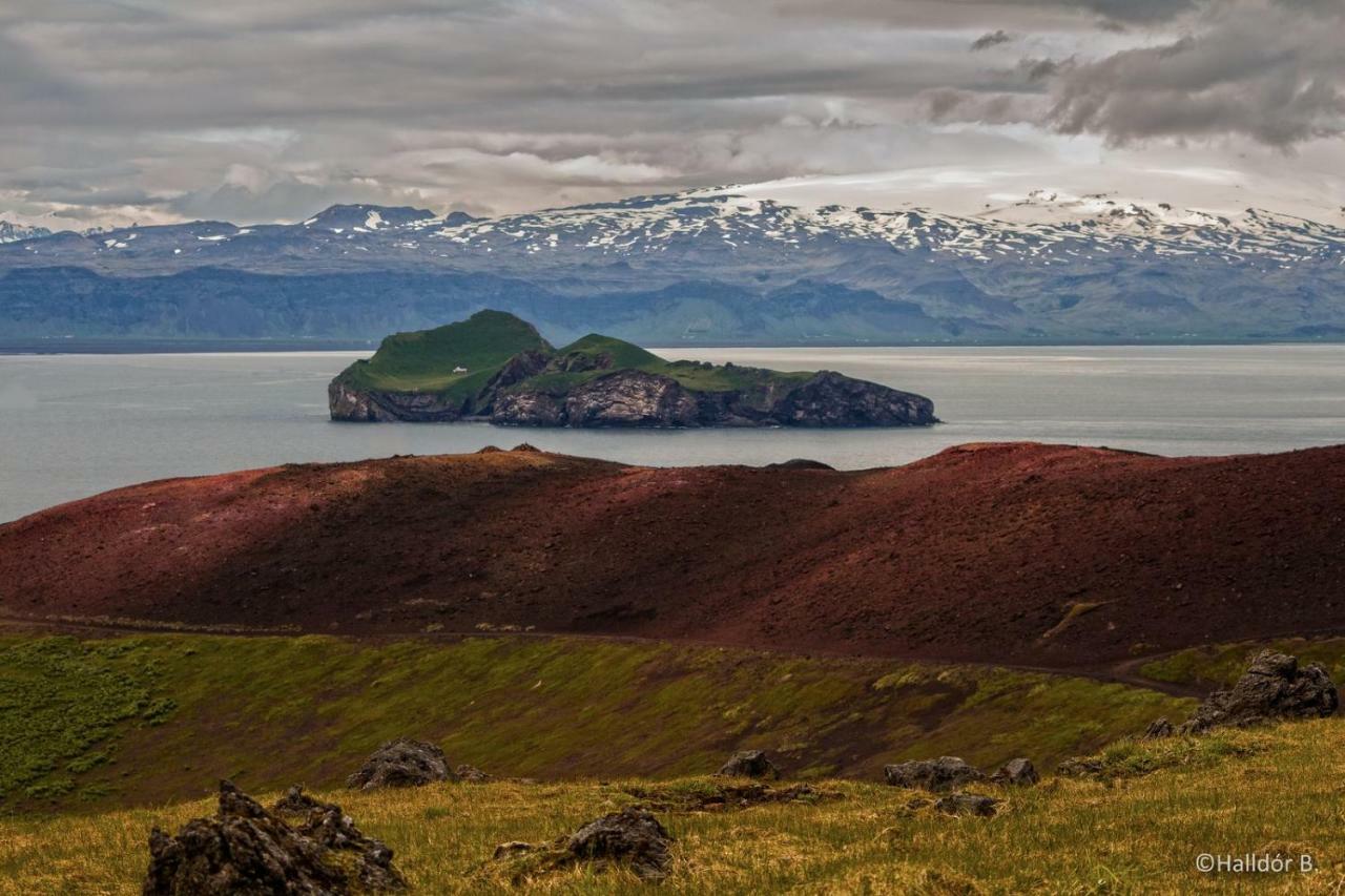 Ofanleiti Cottages Vestmannaeyjar Zewnętrze zdjęcie